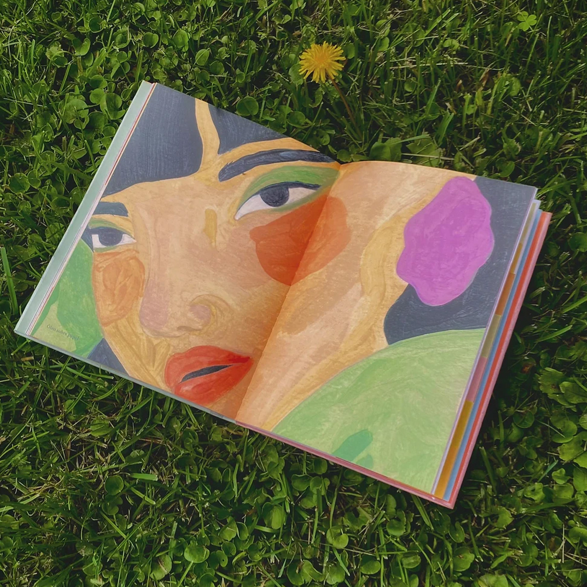 LIBRO RETRATO A COLOR DE ELENA HO - 3