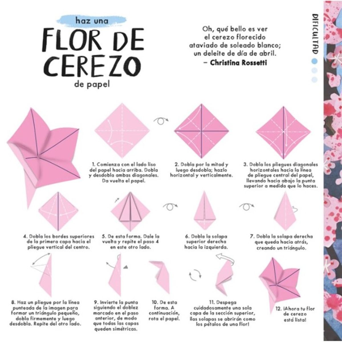 LIBRO ORIGAMI DE FLORES DE CLOVER ROBIN - 4