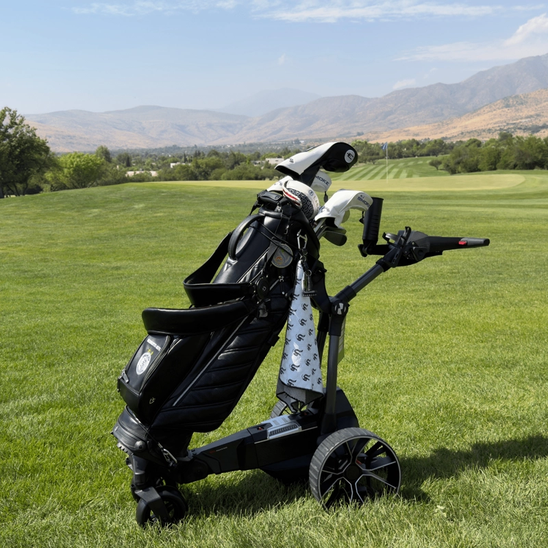 CARRITO DE GOLF ELECTRICO BIRDIE 3X AUTONOMÍA 36 HOYOS MAX 9KM/H 240W CONTROL A DISTANCIA - 4
