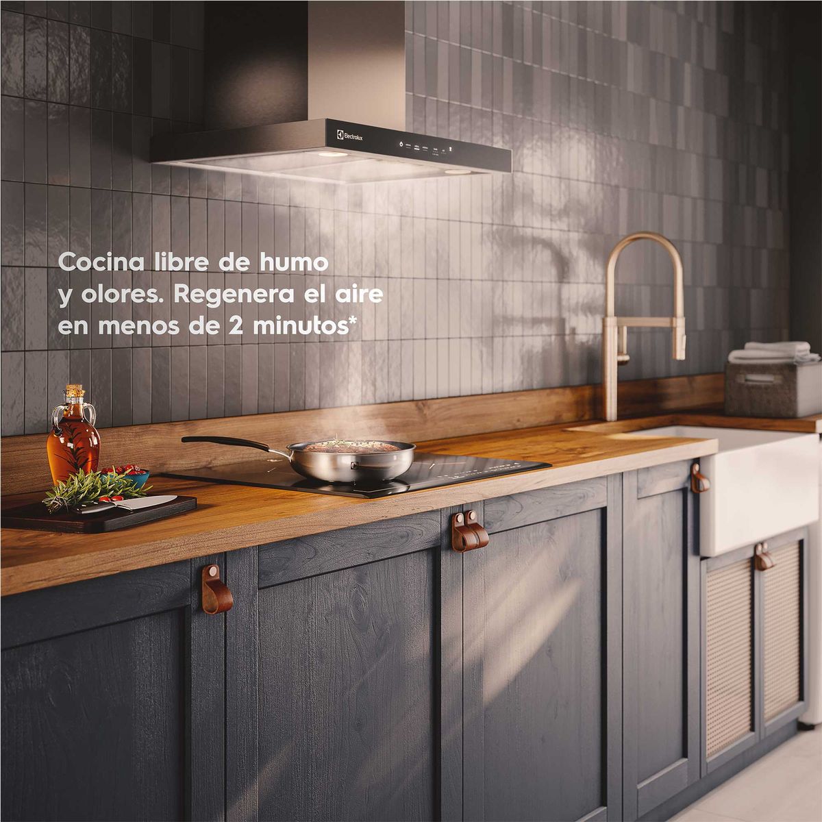 CAMPANA COCINA DECORATIVA ELECTROLUX 60CM TIMER CE6TF - 5