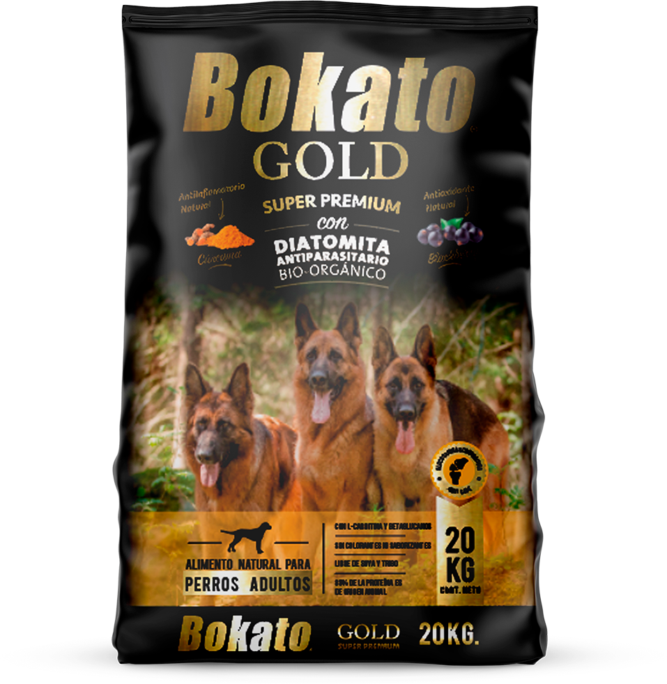 BOKATO GOLD ADULTO 20K - 1