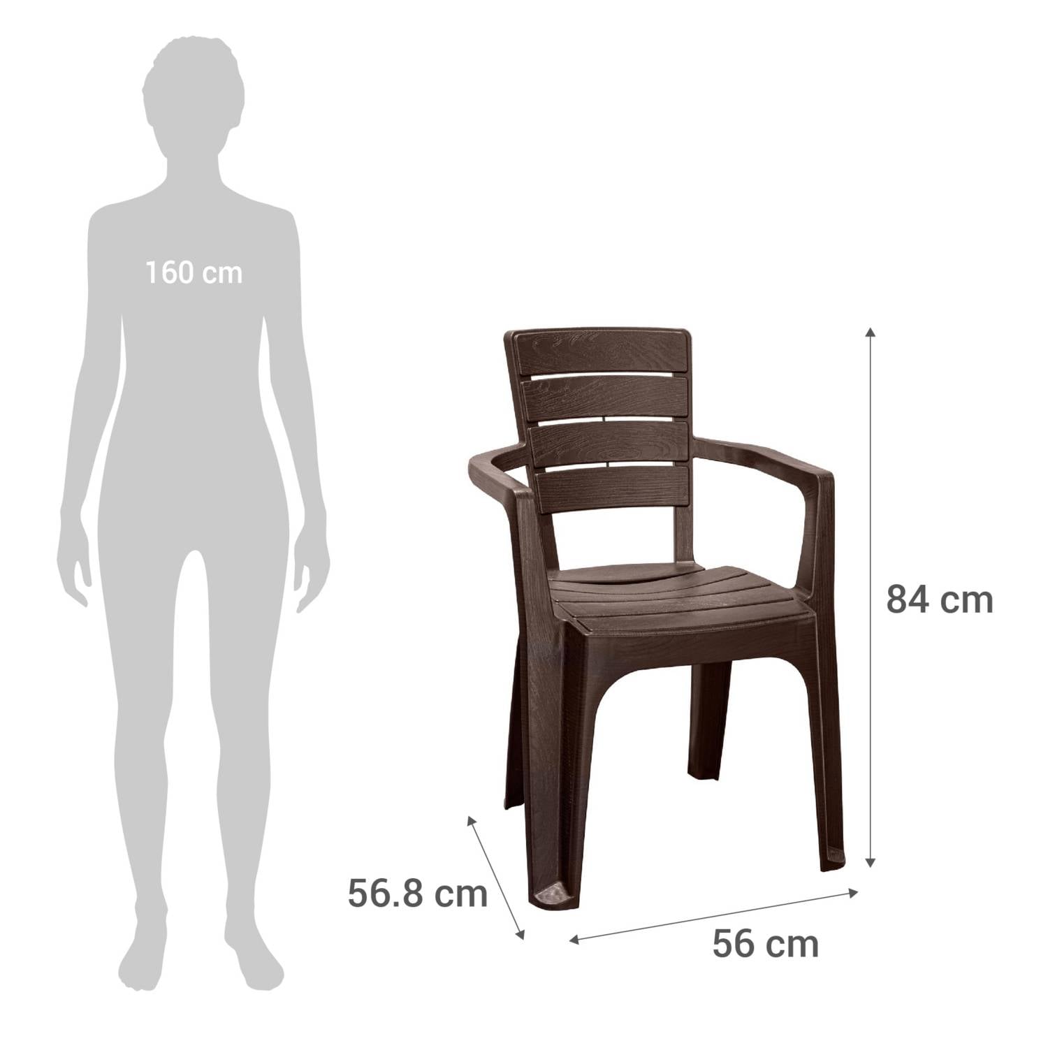 SILLA COMEDOR REYPLAST ROBLE CAFE TERRAZA CAMPING CON APOYABRAZOS - 4