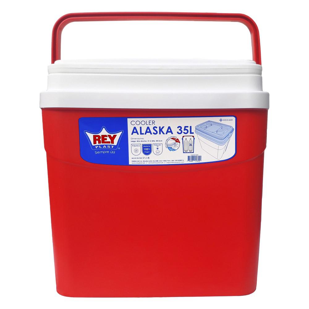 COOLER NEVERA PORTATIL 35L REYPLAST RATAN TAPA CAFE - 1