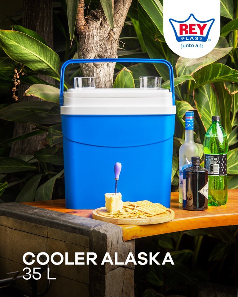 COOLER NEVERA PORTATIL 35L REYPLAST RATAN TAPA CAFE - 3