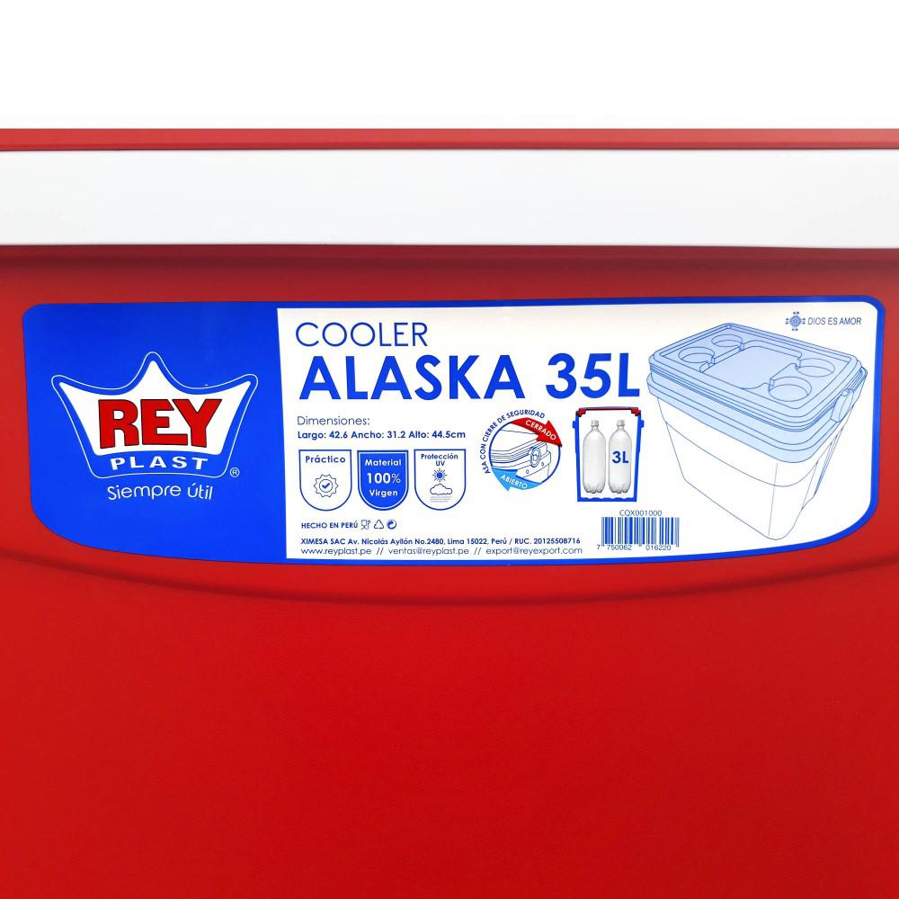COOLER NEVERA PORTATIL 35L REYPLAST RATAN TAPA CAFE - 5