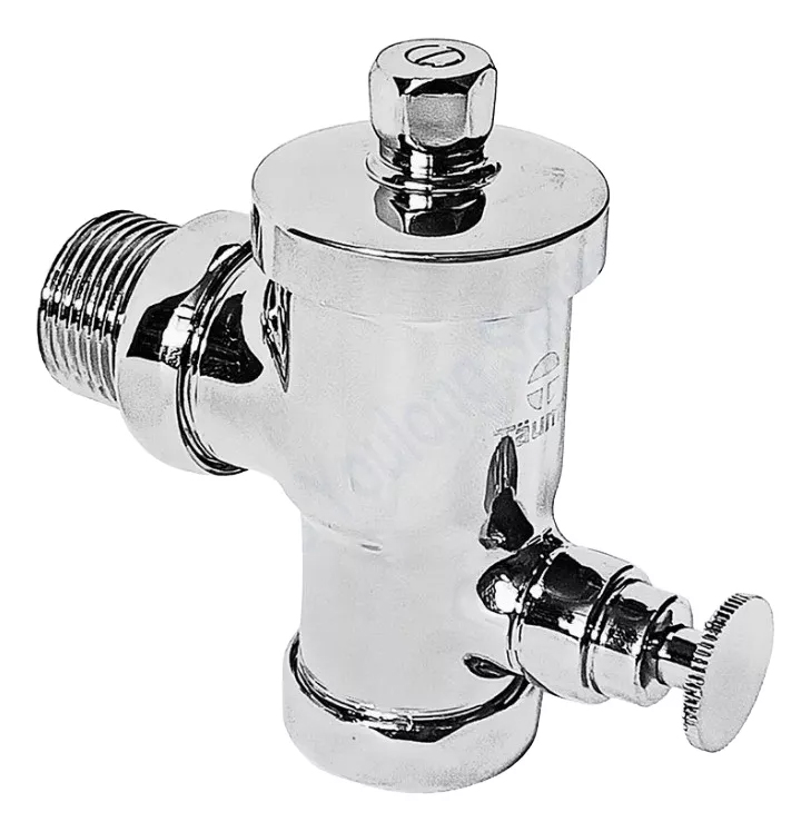 FLUXOMETRO BOTON 3/4 L CON FITTINGS TAUMM - 2