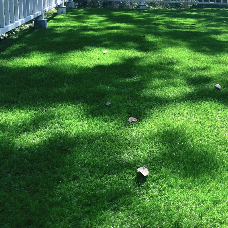 PASTO QRUBBER SINTÉTICO HUILO HUILO 35 MM 2 MTS X 5MTS - 7