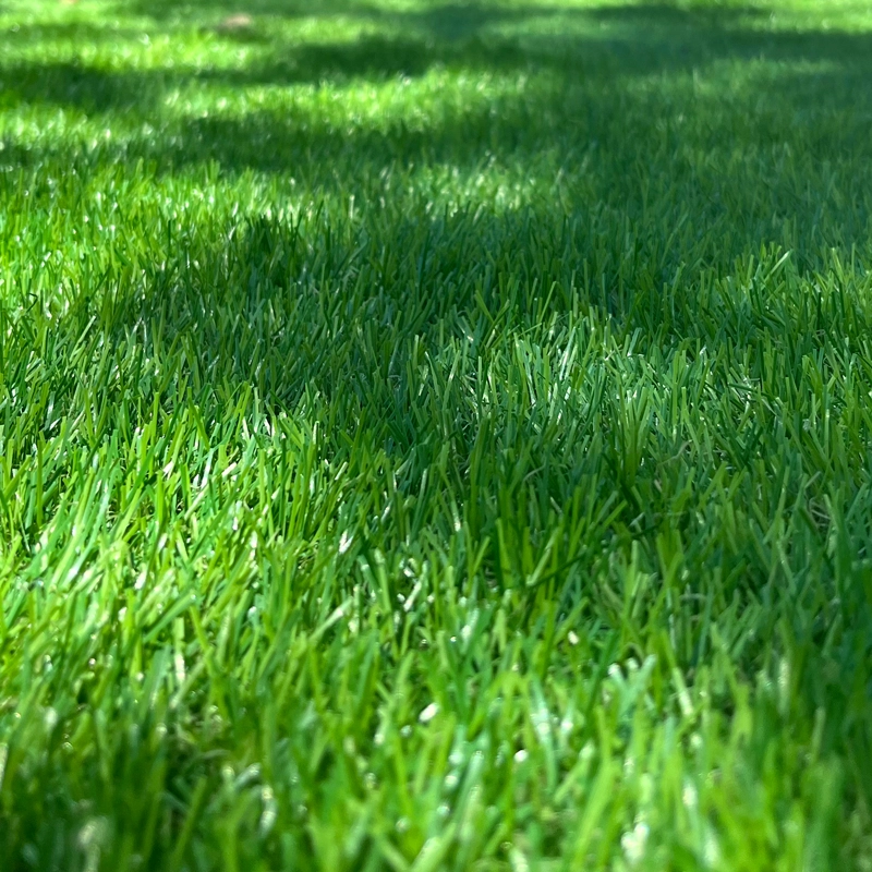 PASTO QRUBBER SINTÉTICO HUILO HUILO 35 MM 4 MTS X 5 MTS - 5
