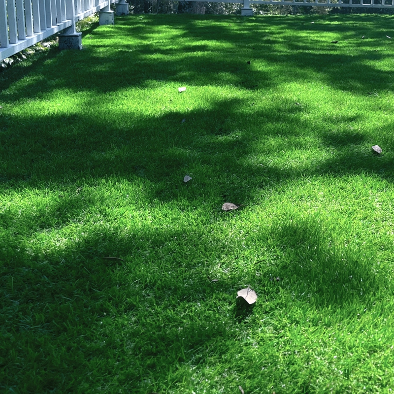PASTO QRUBBER SINTÉTICO HUILO HUILO 35 MM 2 MTS X 10MTS - 6