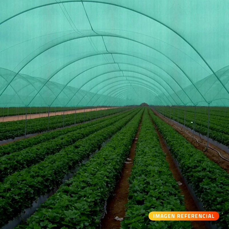 MALLA RASCHEL QRUBBER 2.1 X 50 M VERDE SOMBRA - 3