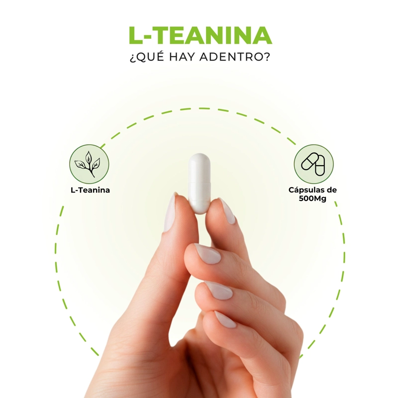PACK 3 L-TEANINA 500MG NUTRILIF+ 270 CAPSULAS TE VERDE L TEANINA SUPLEMENTO PARA CONCENTRAC - 6