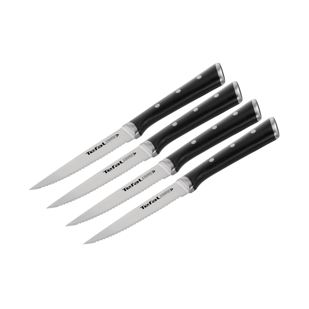 SET 4 CUCHILLOS 11CM ICE FORCE TEFAL - 1