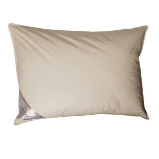 SET 2 ALMOHADAS DE PLUMA 50X90 CM - 1