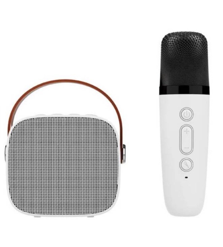 PORTÁTIL BLUETOOTH KARAOKE SPEAKER - 3