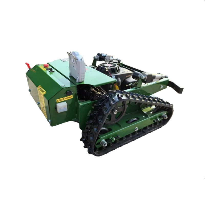 CORTADORA DE CESPED 50CM A CONTROL REMOTO 7HP GIOVACCHINO - 2