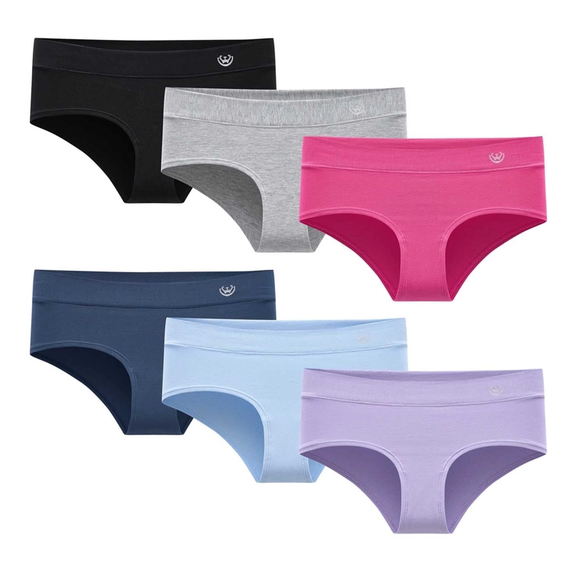 PACK DE 6  CALZONES PANTALETA ALGODON MUJER - 1
