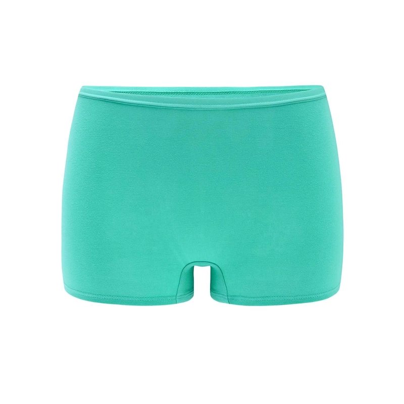 PACK DE 6 CALZONES PANTALETA  ALGODON MUJER - 4