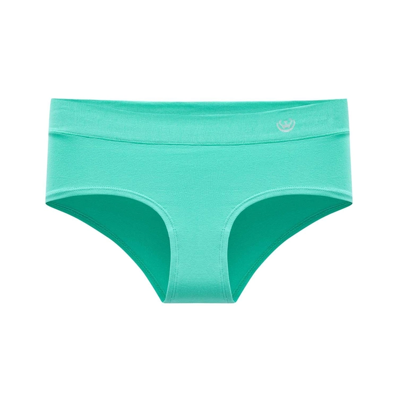 PACK DE 6 CALZONES PANTALETA ALGODON  MUJER - 2