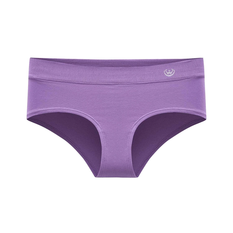 PACK DE 6 CALZONES PANTALETA ALGODON  MUJER - 3