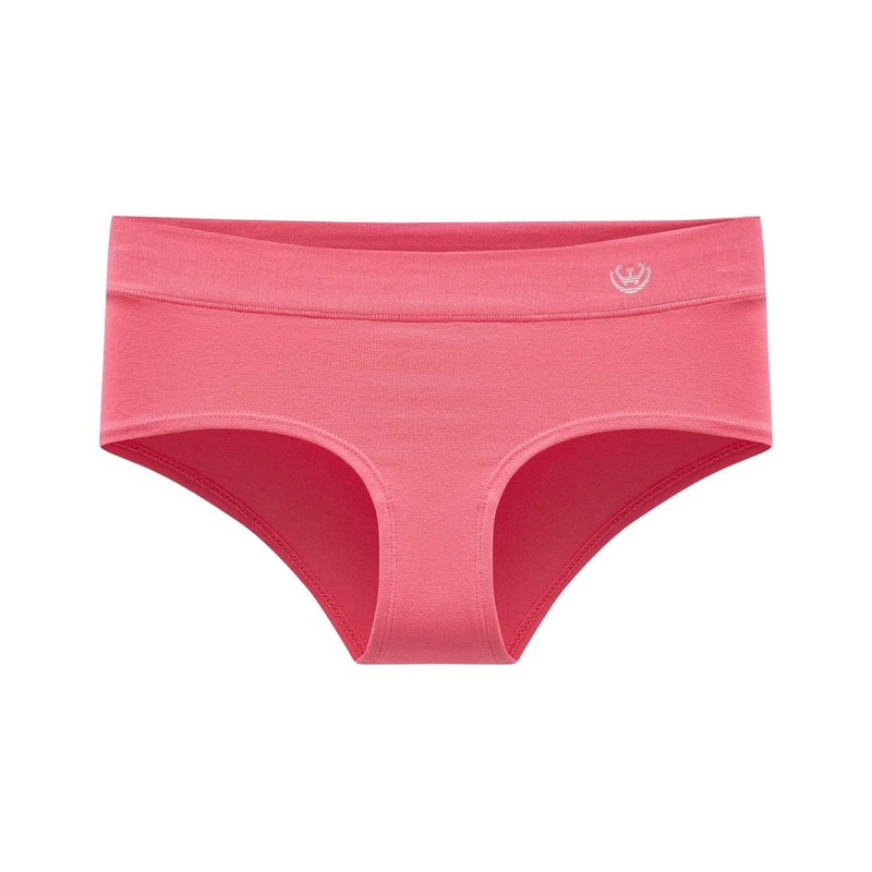 PACK DE 6 CALZONES PANTALETA ALGODON  MUJER - 4