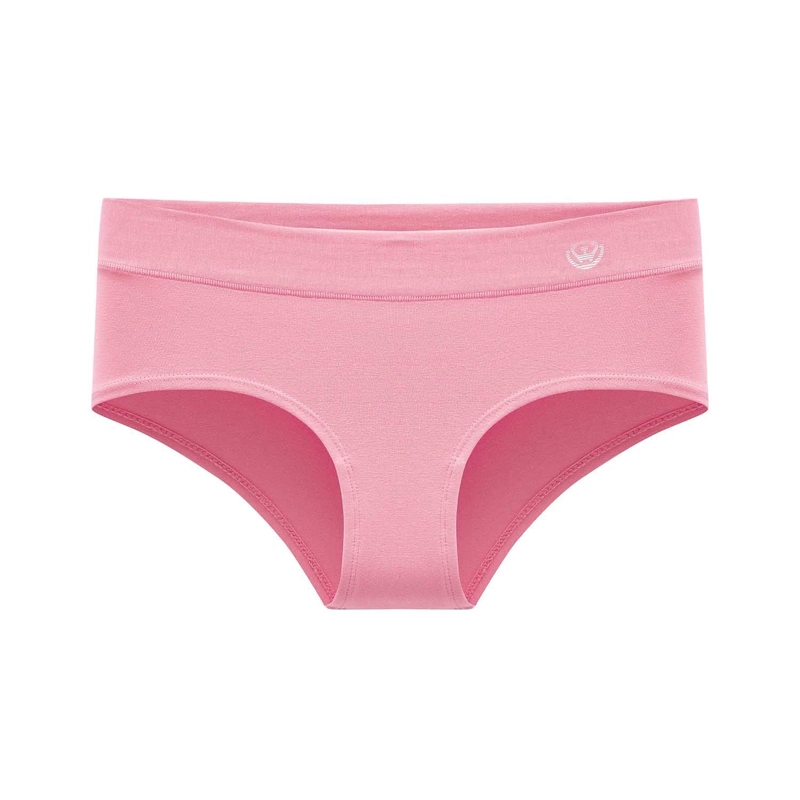 PACK DE 6 CALZONES PANTALETA ALGODON  MUJER - 6