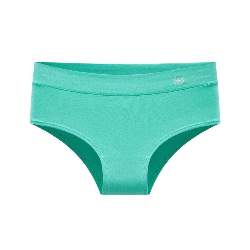 PACK DE 6 CALZONES BIKINI ALGODON  MUJER - 2