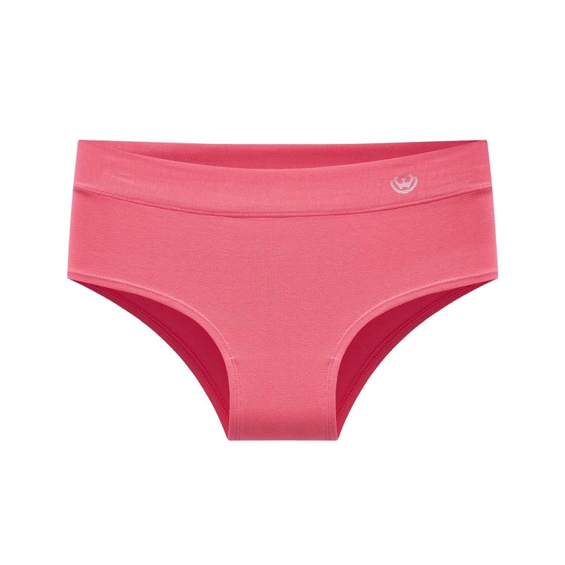 PACK DE 6 CALZONES BIKINI ALGODON  MUJER - 4