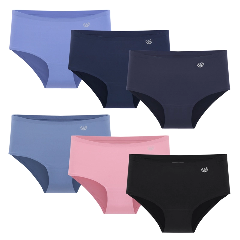 PACK DE 6 CALZONES PANTALETA MICROFIBRA CORTE LASER MUJER - 8