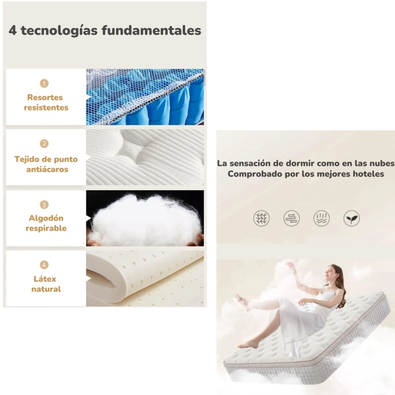 COLCHON 2 PLAZAS 150X190X30CM COMPRIMIDO POCKET SEAHORSE - 3
