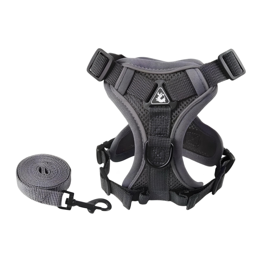ARNE S PARA PERRO AJUSTABLE CON CORREA REFLECTANTES XL - 1