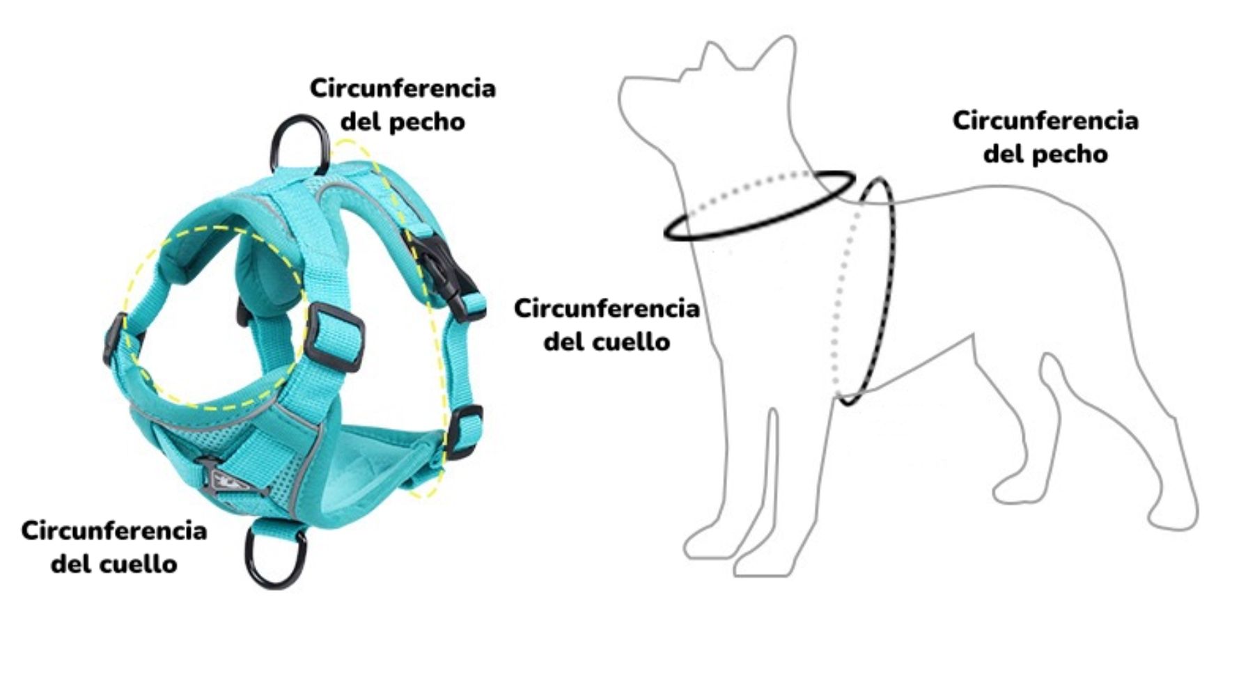 ARNE S PARA PERRO AJUSTABLE CON CORREA REFLECTANTES M - 3