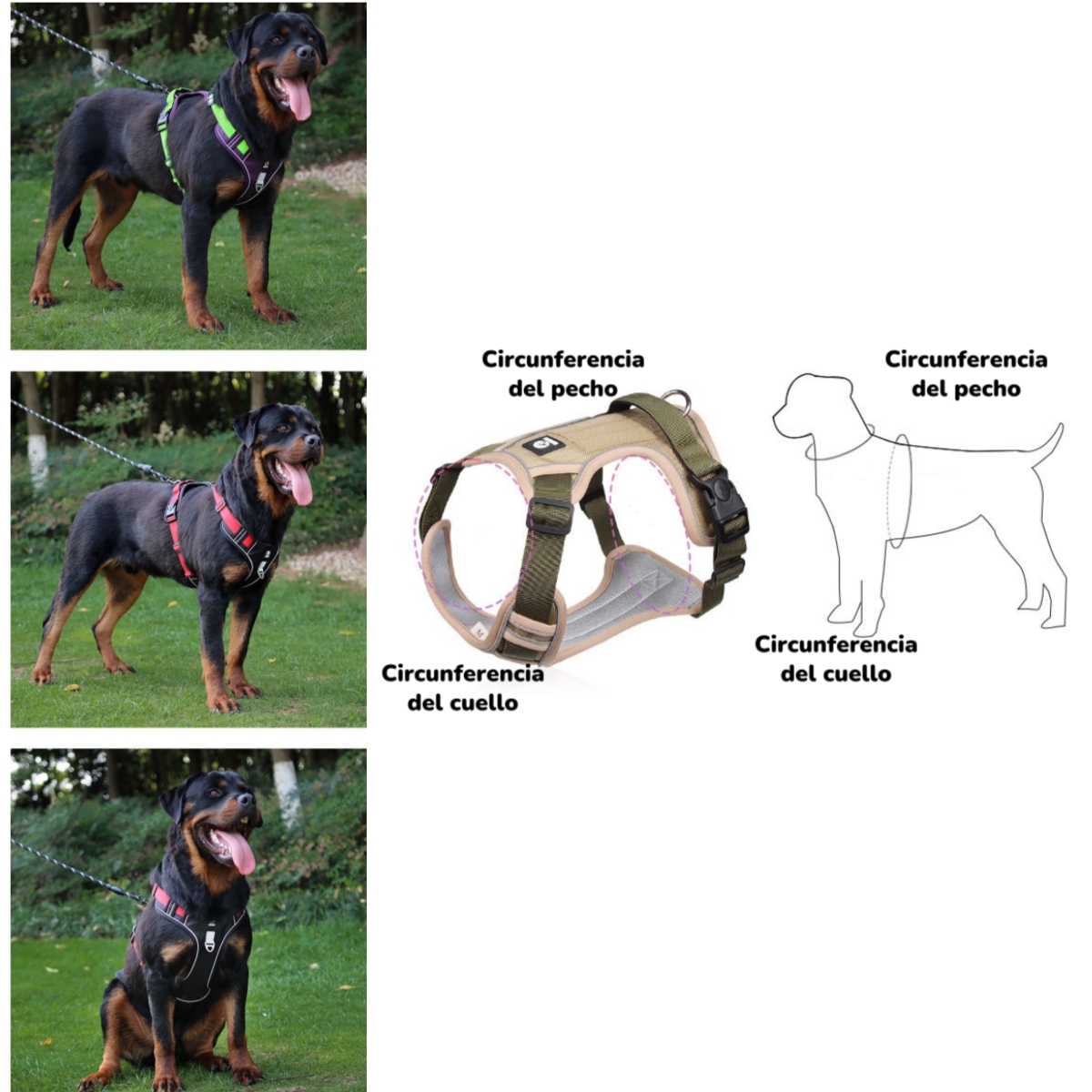 ARNE S PARA PERRO AJUSTABLE CON CORREA REFLECTANTES MIMI XL - 3