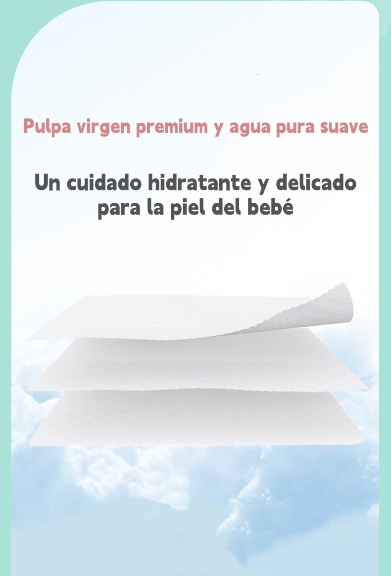 TOALLITAS HUMEDAS CON TAPA PACK 6X80 UNIDADES LUBABYCAS - 6