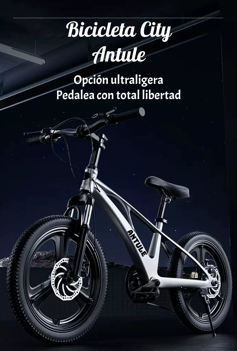 BICICLETA INFANTIL 7-10 AÑOS ARO 20 CITY LUBABYCAS - 2