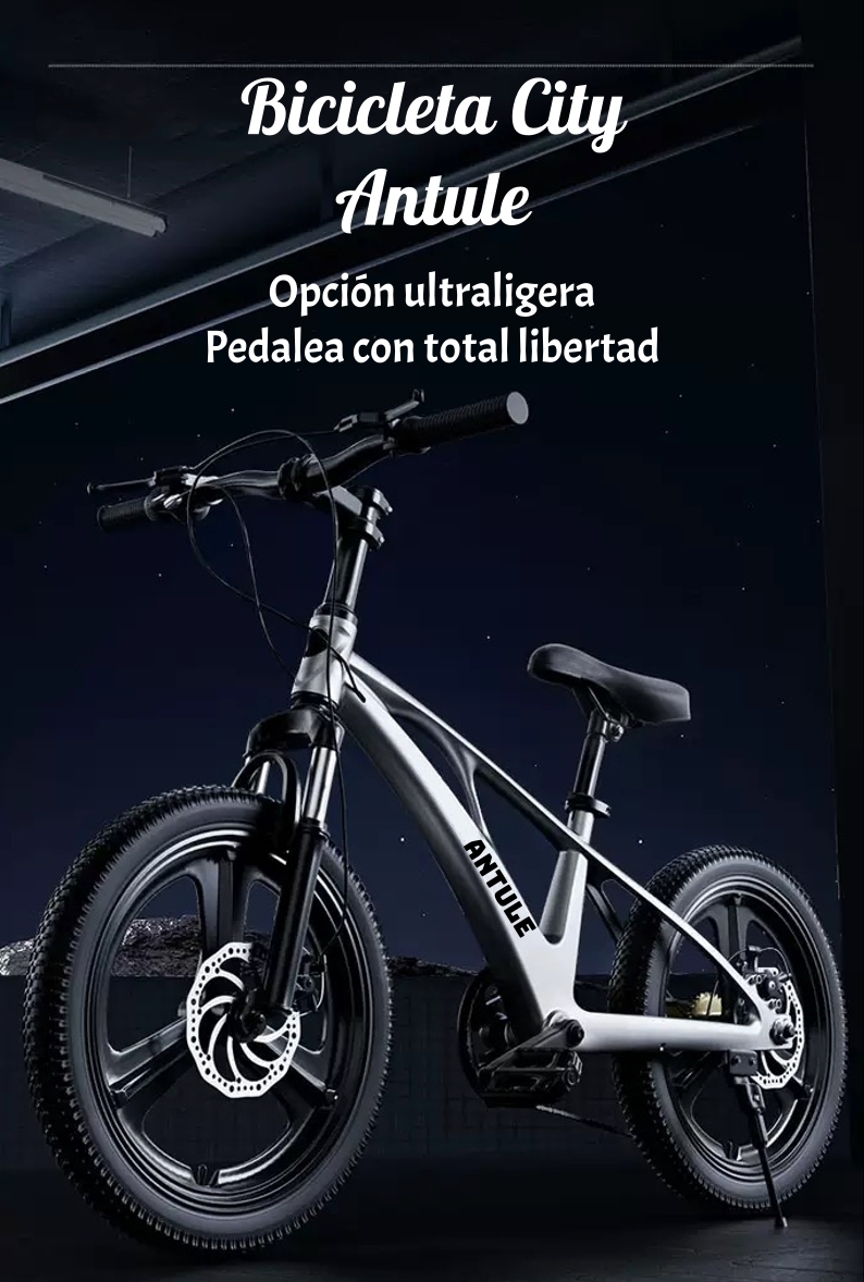 BICICLETA INFANTIL 7-10 AÑOS ARO 20 CITY LUBABYCAS - 2