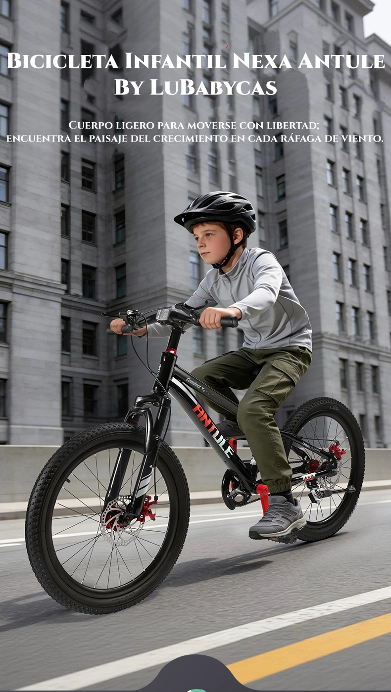 BICICLETA INFANTIL 10-14 AÑOS ARO 22 NEXA LUBABYCAS - 2