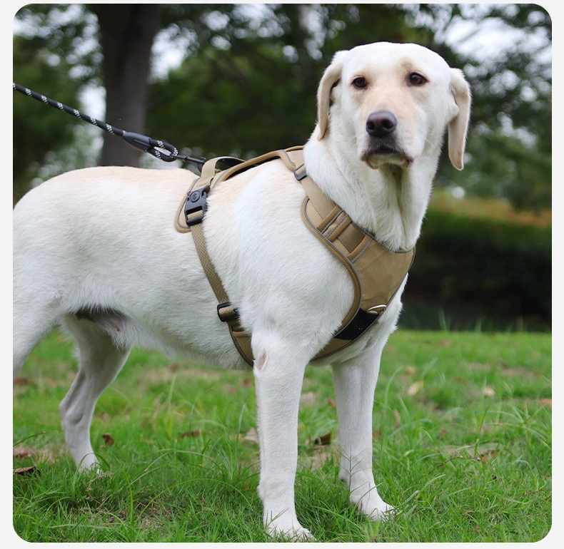 ARNE S PARA PERRO AJUSTABLE CON CORREA 1,5M REFLECTANTE KAYLA - 2