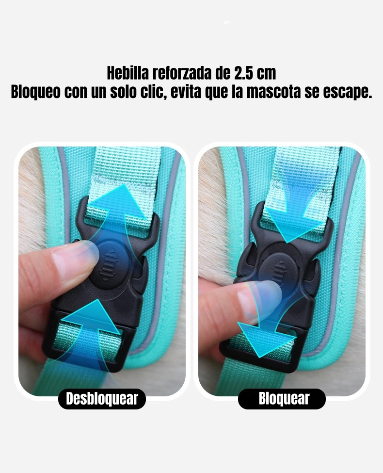 ARNE S PARA PERRO AJUSTABLE CON CORREA 1,5M REFLECTANTE KAYLA - 4