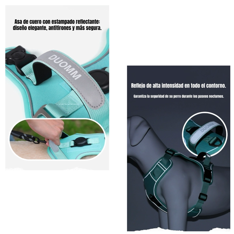 ARNE S PARA PERRO AJUSTABLE CON CORREA 1,5M REFLECTANTE KAYLA - 5