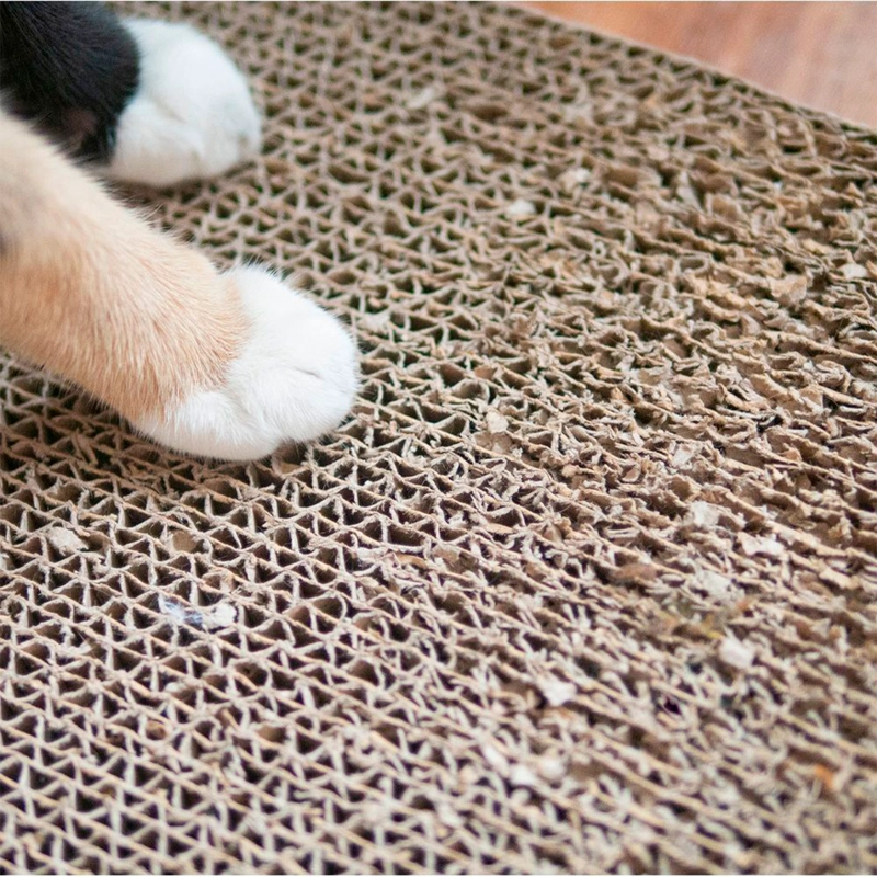 RASCADOR PLANO CAMON PARA GATOS 1UN - 3