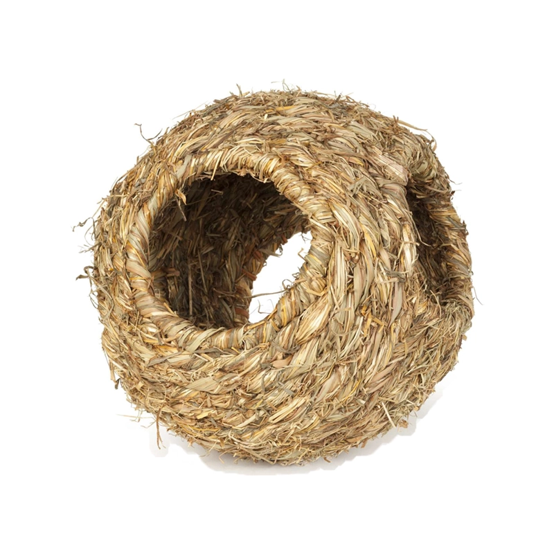 ESFERA PASTO HAMSTERS Y RATONES PREVUE PEQUEÑOS ANIMALES TALLA L (23 CM) - 2