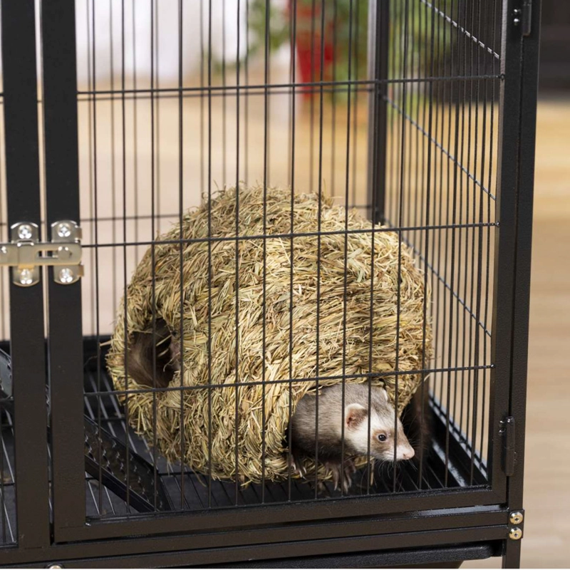 ESFERA PASTO HAMSTERS Y RATONES PREVUE PEQUEÑOS ANIMALES TALLA L (23 CM) - 3