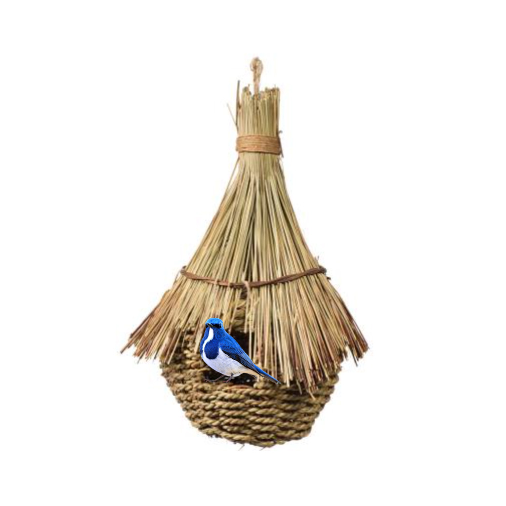NIDO AVES PREVUE TIKI - 3