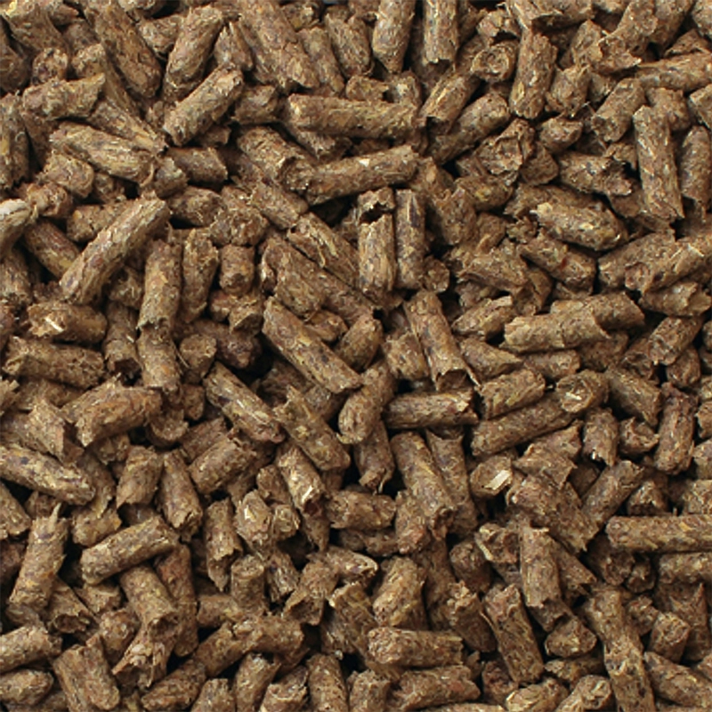 ALIMENTO SECO CONEJOS COBAYOS MAZURI 1 KG TIMOTHY DIET - 3