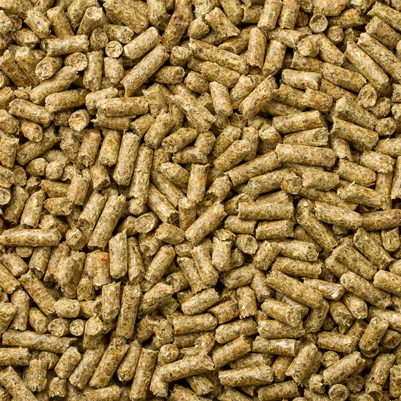 ALIMENTO SECO CONEJOS COBAYOS MAZURI 1 KG GUINEA TIMOTHY DIET - 3