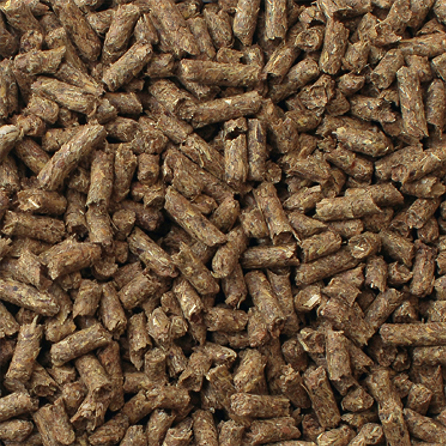 ALIMENTO SECO CONEJOS COBAYOS MAZURI 2.5 KG TIMOTHY - 6