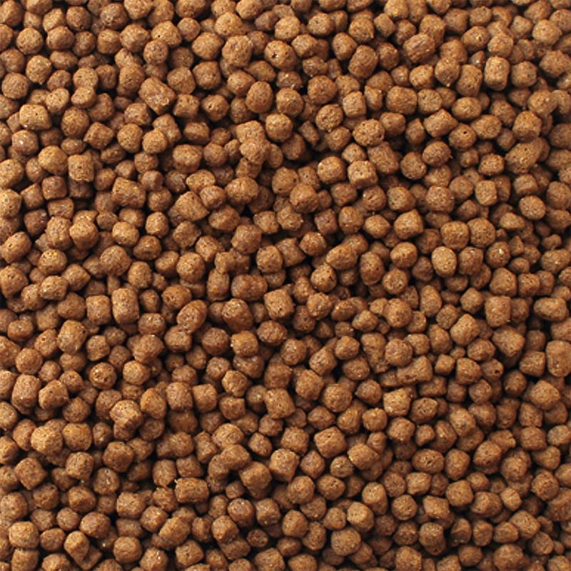 ALIMENTO SECO TORTUGAS ACUATICAS MAZURI 340 GR - 6