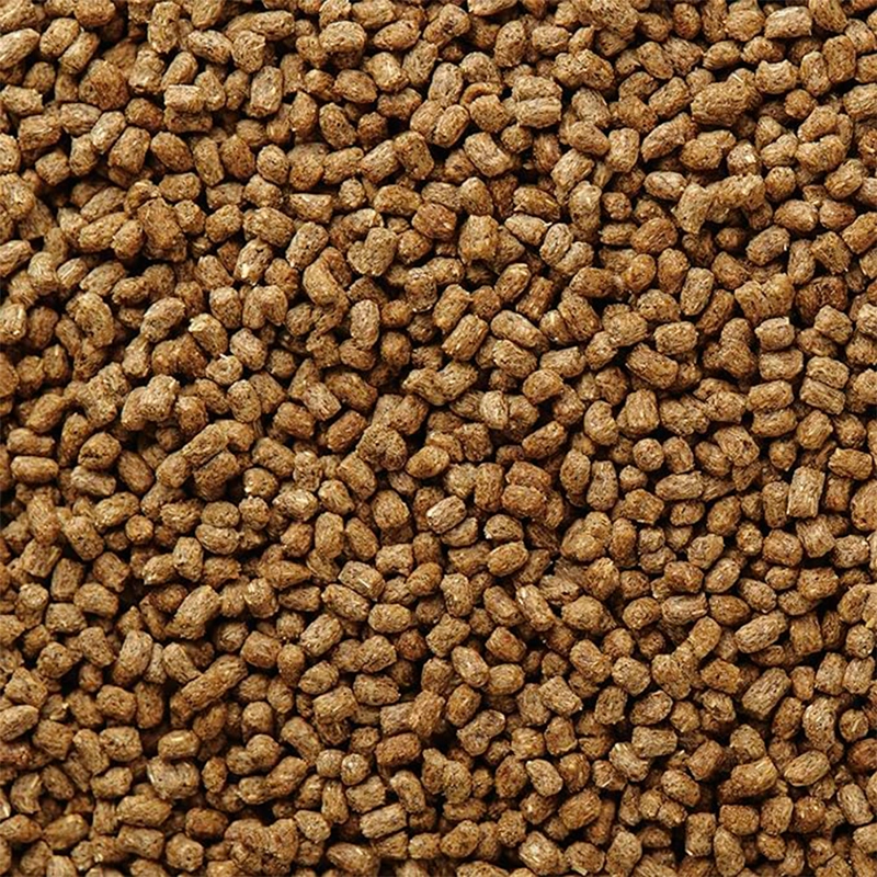 MAZURI ALIMENTO DRAGON BARBUDO 200 GR - 3