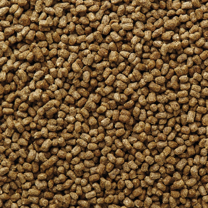 ALIMENTO SECO IGÜANAS MAZURI 200 GR - 6