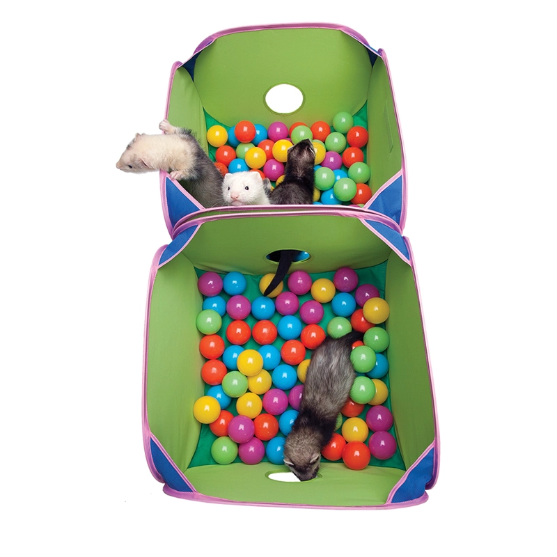 JUGUETE HURON MARSHALL INTERACTIVO POP AND PLAY - 3